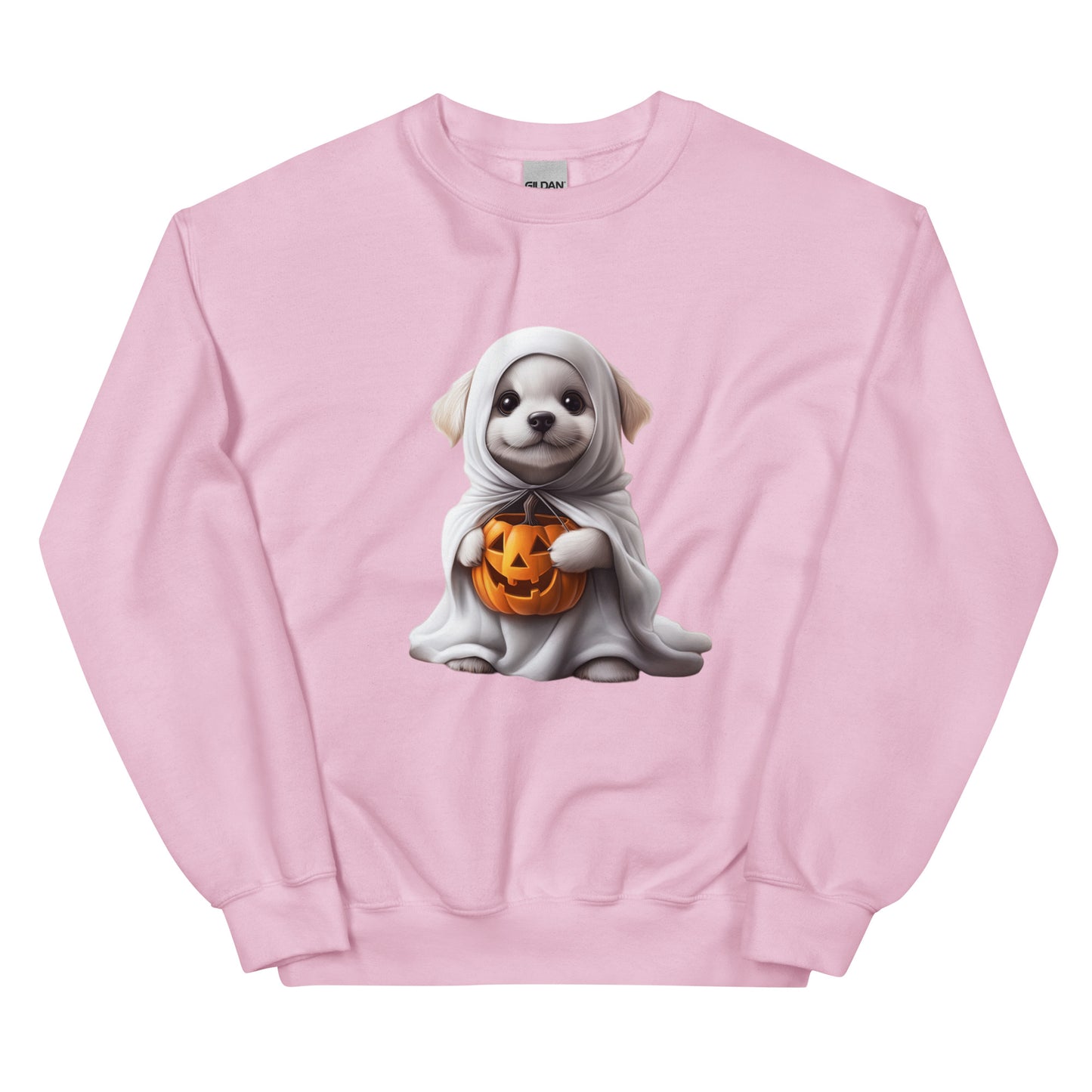 Halloween puppy sweatshirt, Lil Boo, Halloween gift, Puppy lovers, Cute puppies