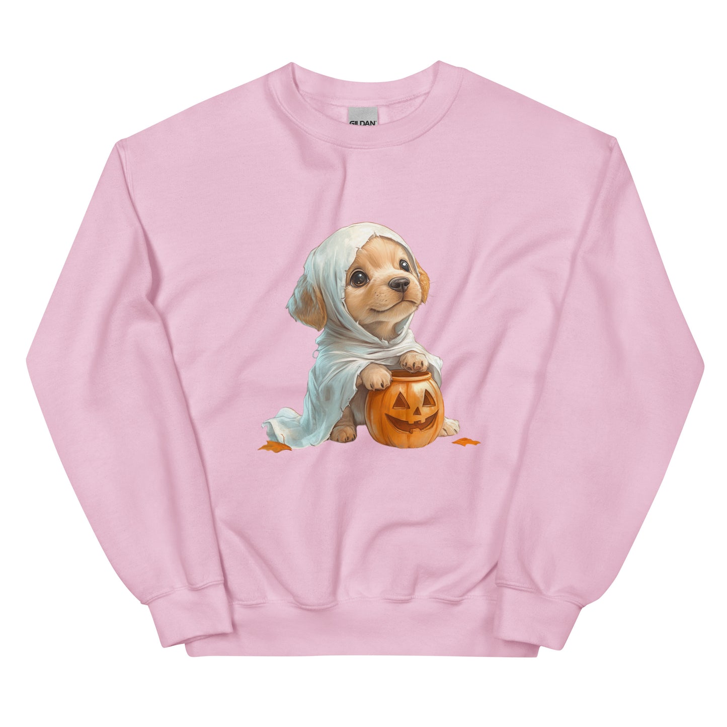 Halloween puppy sweatshirt, Lil Boo, Halloween gift, Puppy lovers, Cute puppies