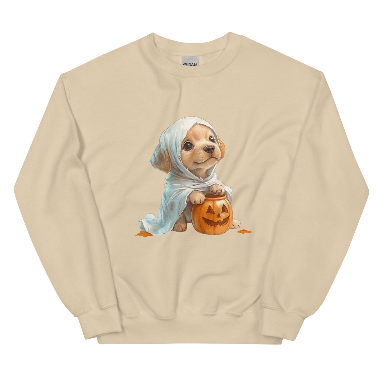 Halloween puppy sweatshirt, Lil Boo, Halloween gift, Puppy lovers, Cute puppies